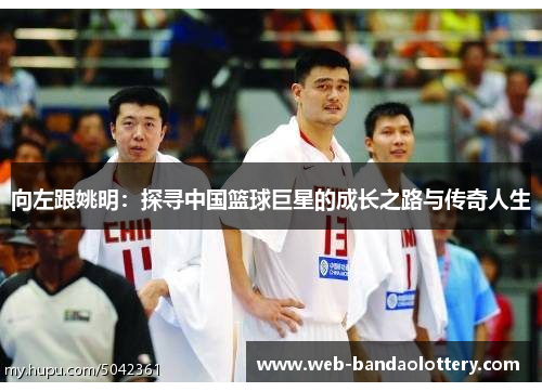 向左跟姚明：探寻中国篮球巨星的成长之路与传奇人生
